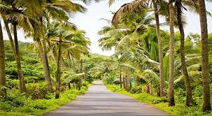 Katargam hotel evening for Surat outcall