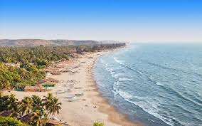 Palolem hotel evening for Goa outcall